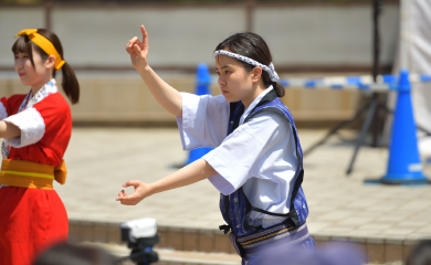 桜風エイサー琉球風車の男手踊り